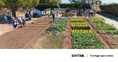 AgroAruil está de regresso para celebrar o melhor da região saloia